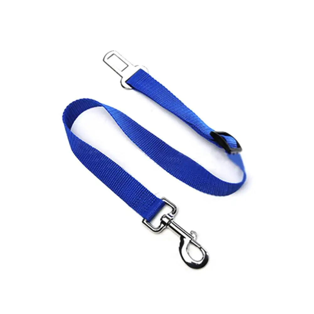 Pet Harness with Lead – Secure, Comfortable and Perfect for Travel