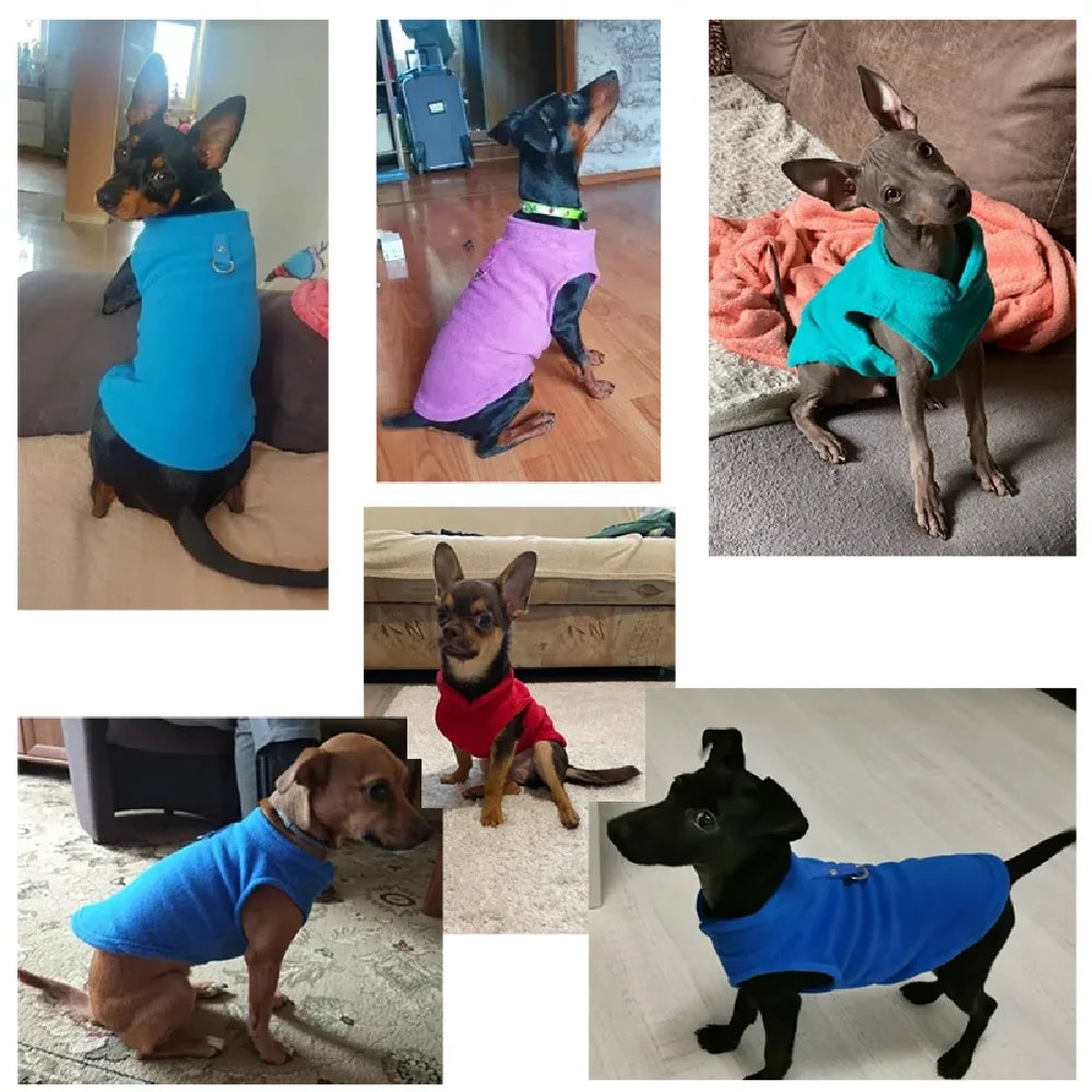 Warm and cozy coat for pets