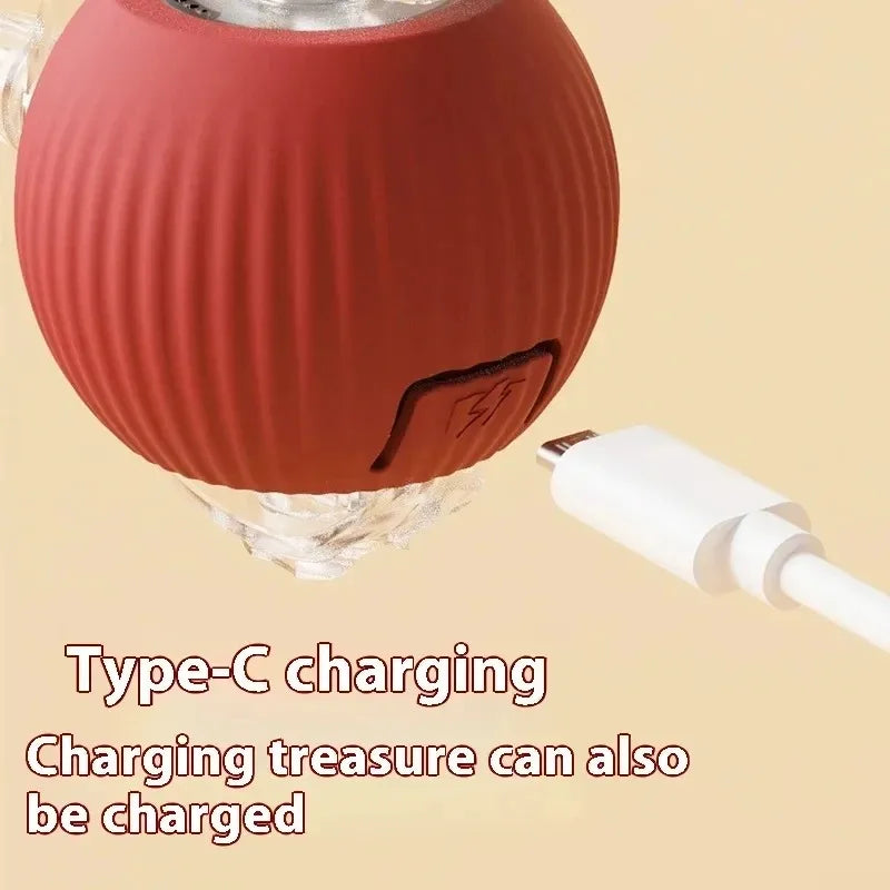 Active Rolling Ball with Tail for Cats