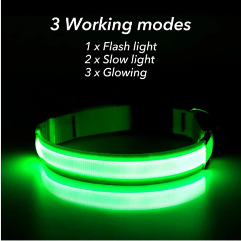 Luminous Collar USB Rechargeable