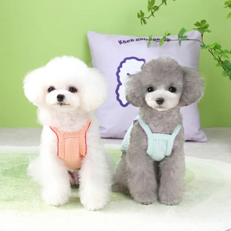 Lightweight Summer Vest for Small Dogs & Cats