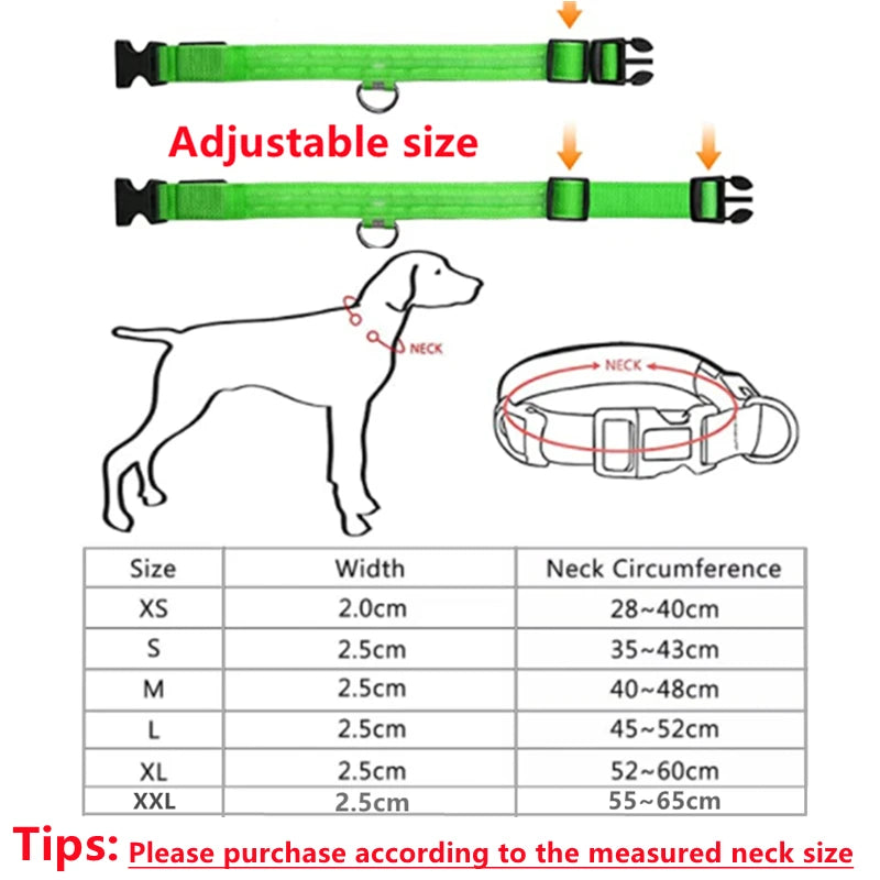 Luminous Collar USB Rechargeable