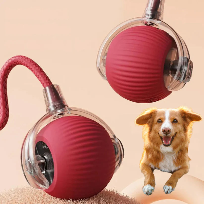 Active Rolling Ball with Tail for Cats