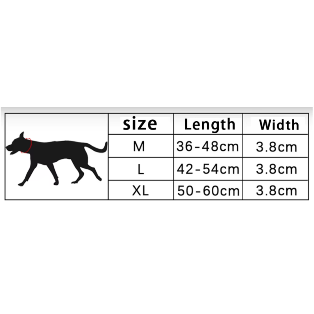 Tactical dog collar with metal buckle