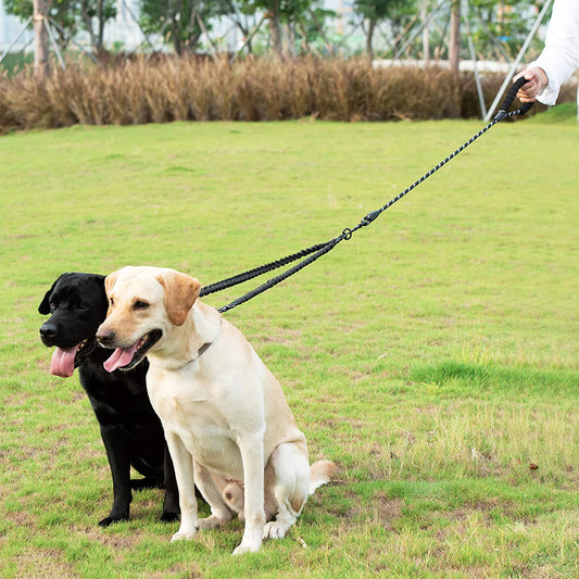 Double Dog Leash – Adjustable Bungee Lead for Walking Two Dogs Simultaneously
