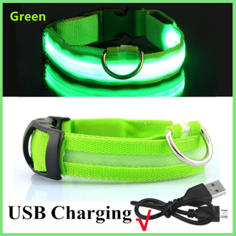Luminous Collar USB Rechargeable