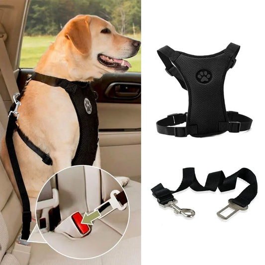Pet Harness with Lead – Secure, Comfortable and Perfect for Travel