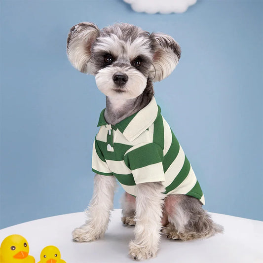 Summer Polo Shirt for Dogs & Cats