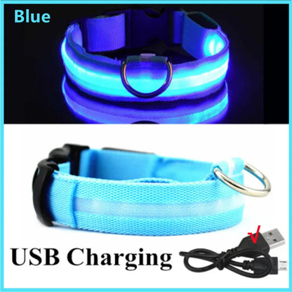 Luminous Collar USB Rechargeable