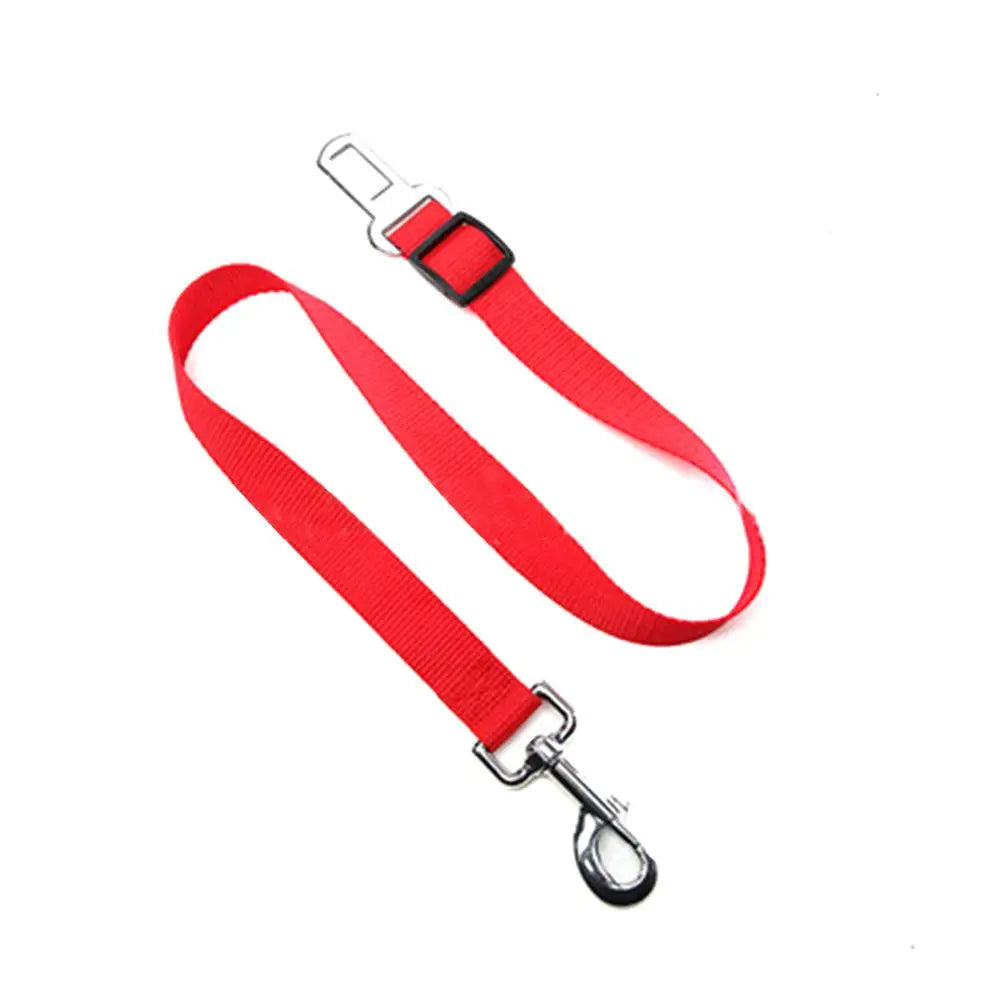 Pet Harness with Lead – Secure, Comfortable and Perfect for Travel