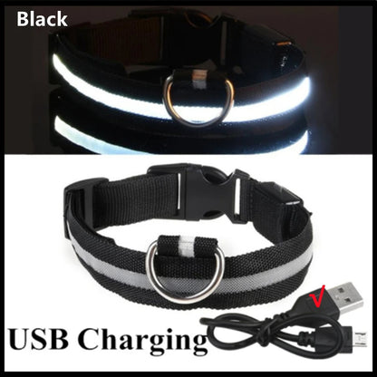 Luminous Collar USB Rechargeable
