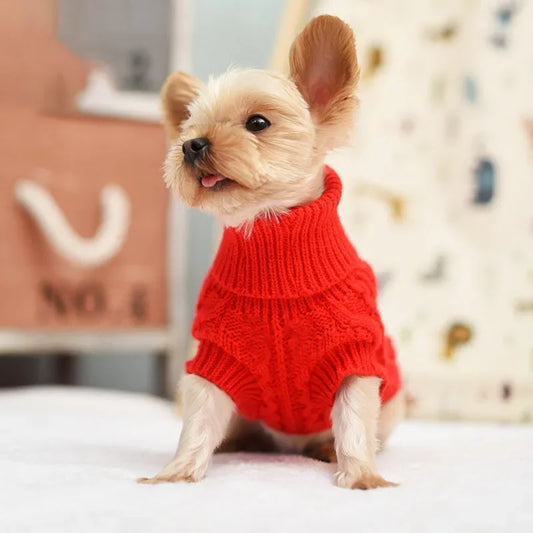 Knitted Dog Sweater – Cosy and Stylish Winter Wear