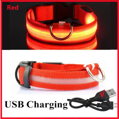 Luminous Collar USB Rechargeable