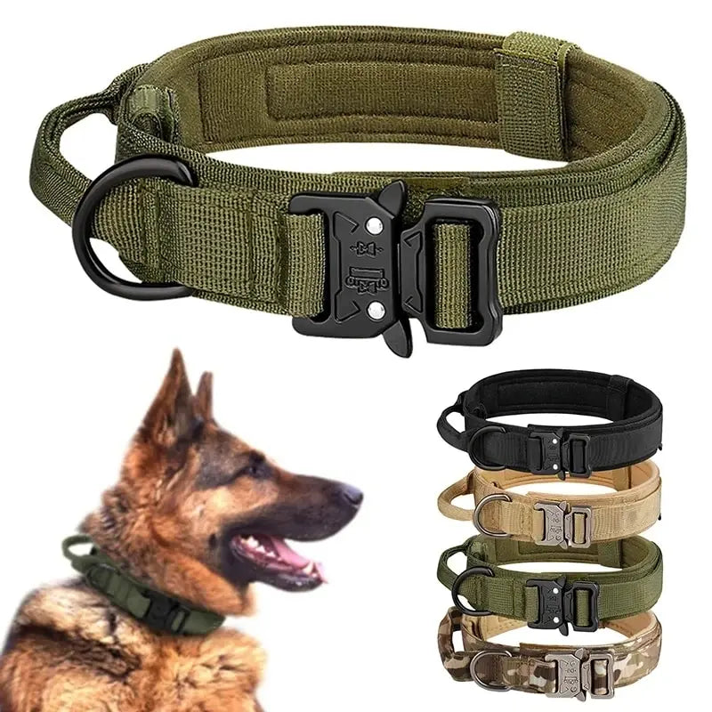 Tactical dog collar with metal buckle