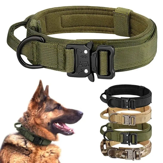 Tactical dog collar with metal buckle
