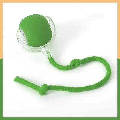 Active Rolling Ball with Tail for Dogs