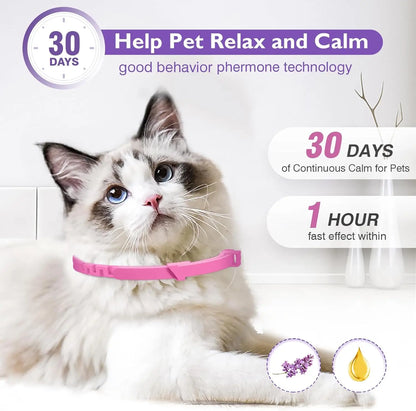 Calming collars with pheromones for dogs and cats, relieves anxiety