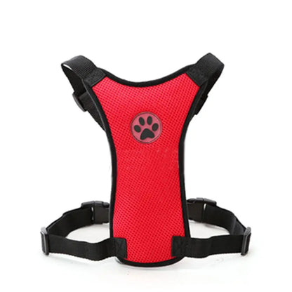 Pet Harness with Lead – Secure, Comfortable and Perfect for Travel