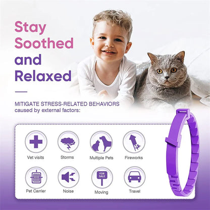 Calming collars with pheromones for dogs and cats, relieves anxiety