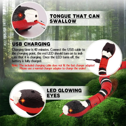 Snakey - Interactive Cat Toy