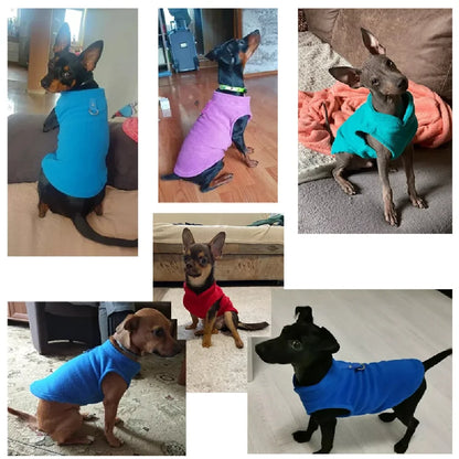Warm and cozy coat for pets