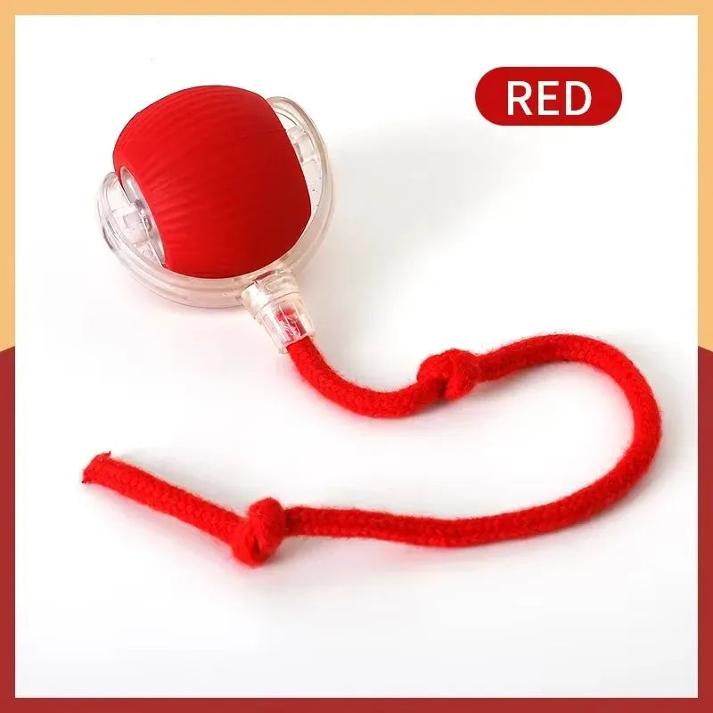 Active Rolling Ball with Tail for Dogs