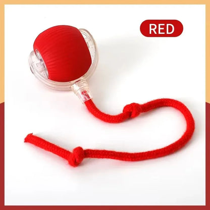 Active Rolling Ball with Tail for Dogs