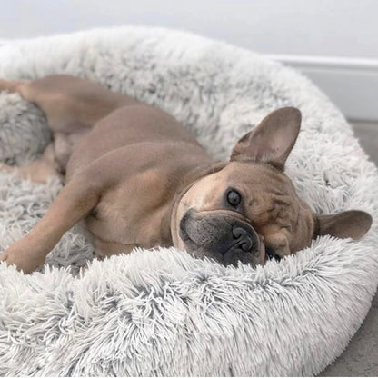 Premium Dog Bed