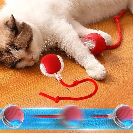 Active Rolling Ball with Tail for Cats