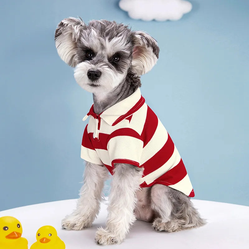 Summer Polo Shirt for Dogs & Cats