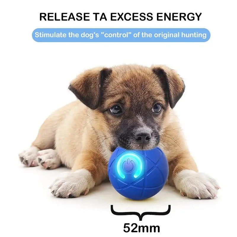 Interactive Jumping Ball for Dogs