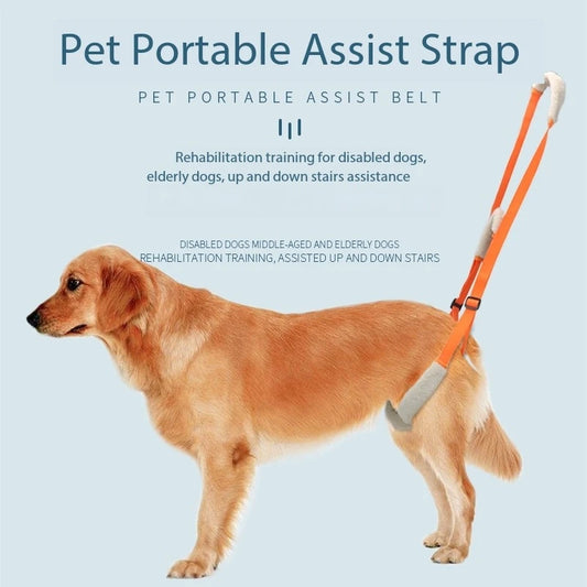 Dog Rear Leg Support Sling – Lift Harness for Elderly & Disabled Dogs