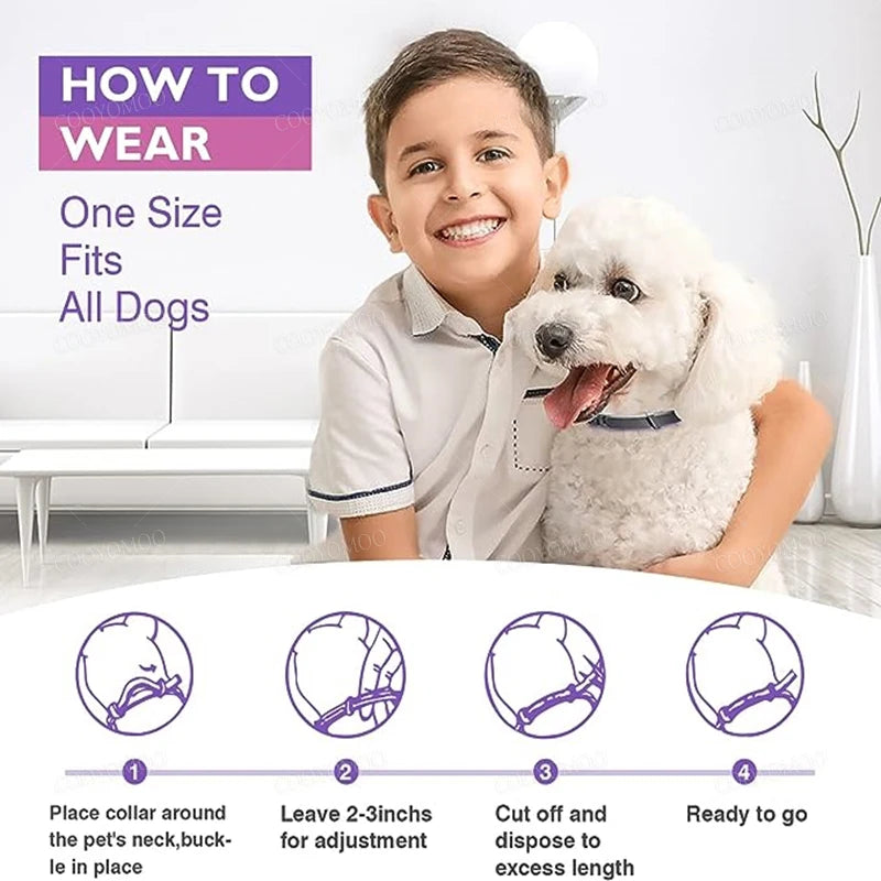 Calming collars with pheromones for dogs and cats, relieves anxiety