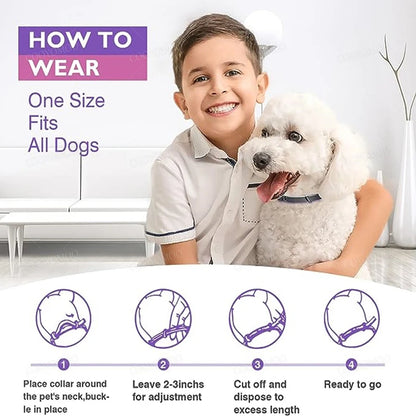 Calming collars with pheromones for dogs and cats, relieves anxiety