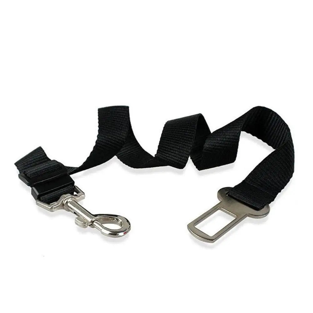 Pet Harness with Lead – Secure, Comfortable and Perfect for Travel