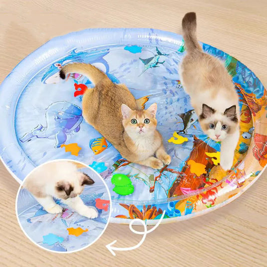 Interactive Cooling Water Bed for Dogs