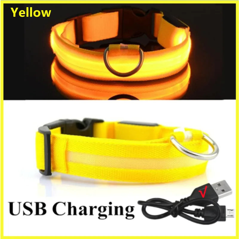 Luminous Collar USB Rechargeable
