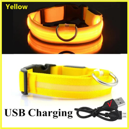 Luminous Collar USB Rechargeable