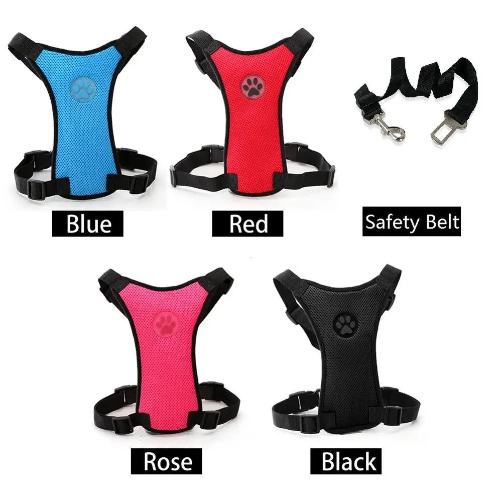 Pet Harness with Lead – Secure, Comfortable and Perfect for Travel
