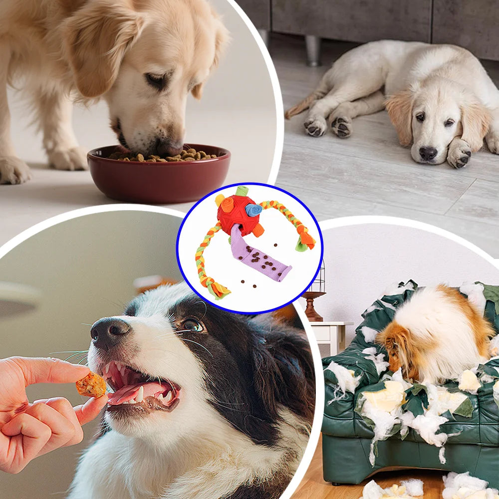 2-in-1 Durable Snuffleball