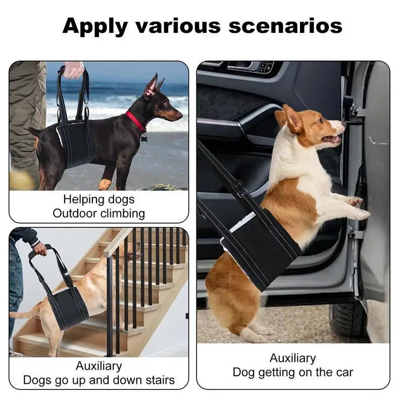 Dog support harness - Adjustable rehabilitation belt