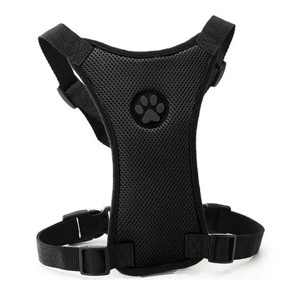 Pet Harness with Lead – Secure, Comfortable and Perfect for Travel