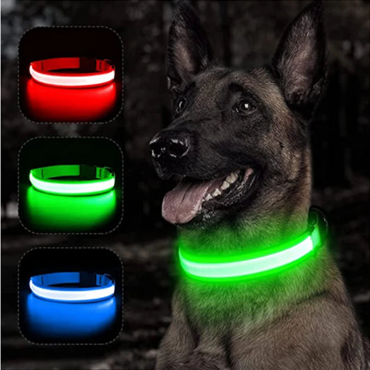 Luminous Collar USB Rechargeable