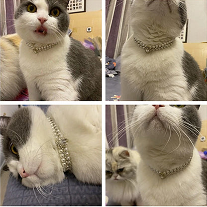 Luxury Pearl Necklace for Cats, Puppies, Rhinestone Collar for Cats, Small Dogs