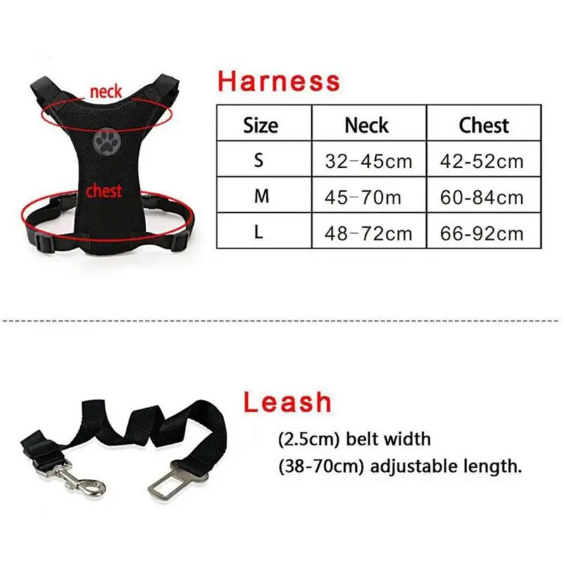 Pet Harness with Lead – Secure, Comfortable and Perfect for Travel