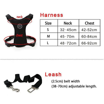 Pet Harness with Lead – Secure, Comfortable and Perfect for Travel