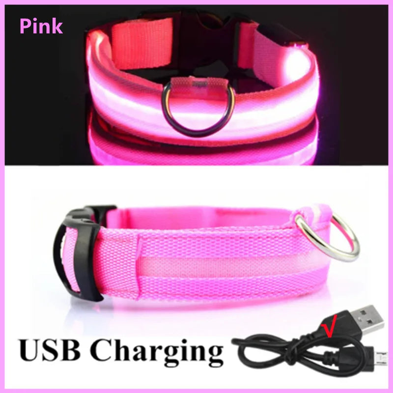 Luminous Collar USB Rechargeable