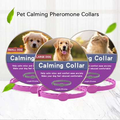 Calming collars with pheromones for dogs and cats, relieves anxiety