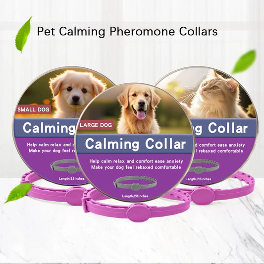Calming collars with pheromones for dogs and cats, relieves anxiety