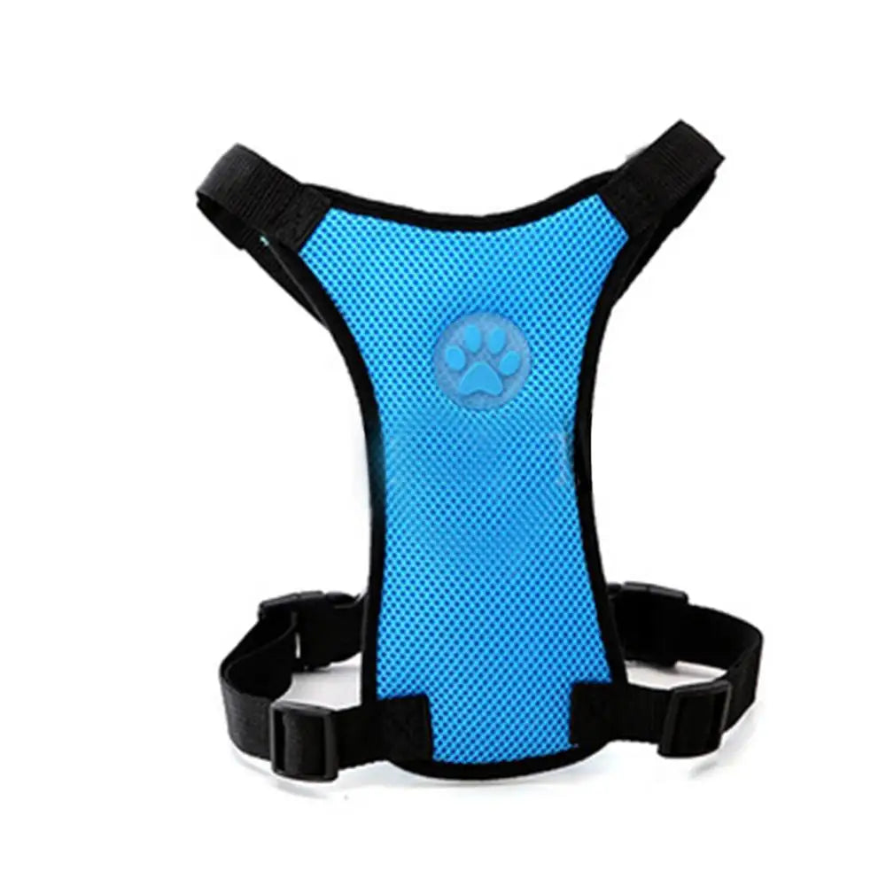 Pet Harness with Lead – Secure, Comfortable and Perfect for Travel